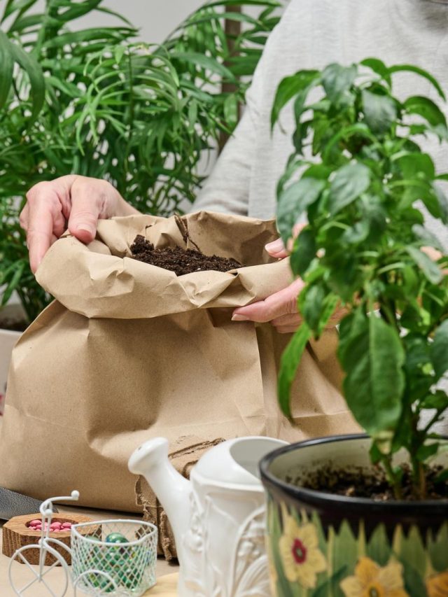 How to get soil for your garden for FREE!